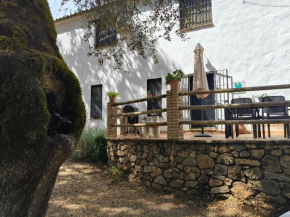Casa rural Alicia